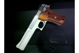 Smith Wesson 2206 Smith Wesson 2206